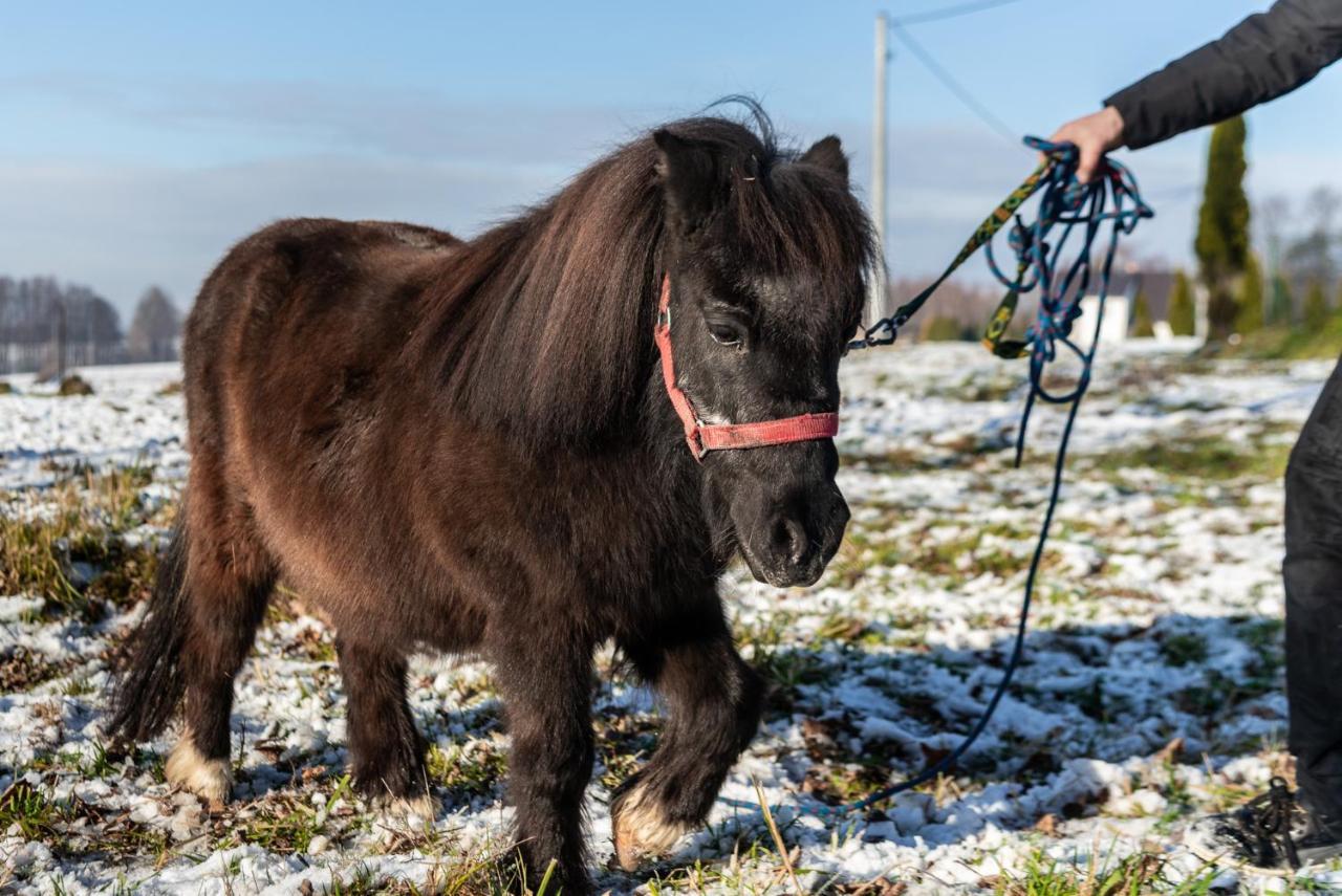 Orzechowa Ostoja Noclegi Energylandia Bachowice Exterior foto