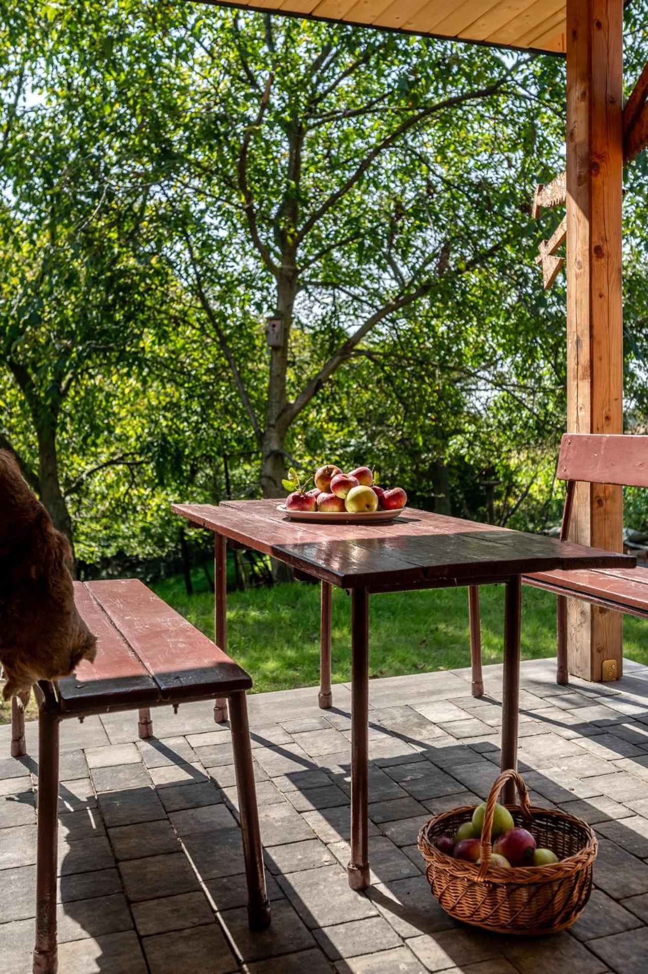 Orzechowa Ostoja Noclegi Energylandia Bachowice Exterior foto