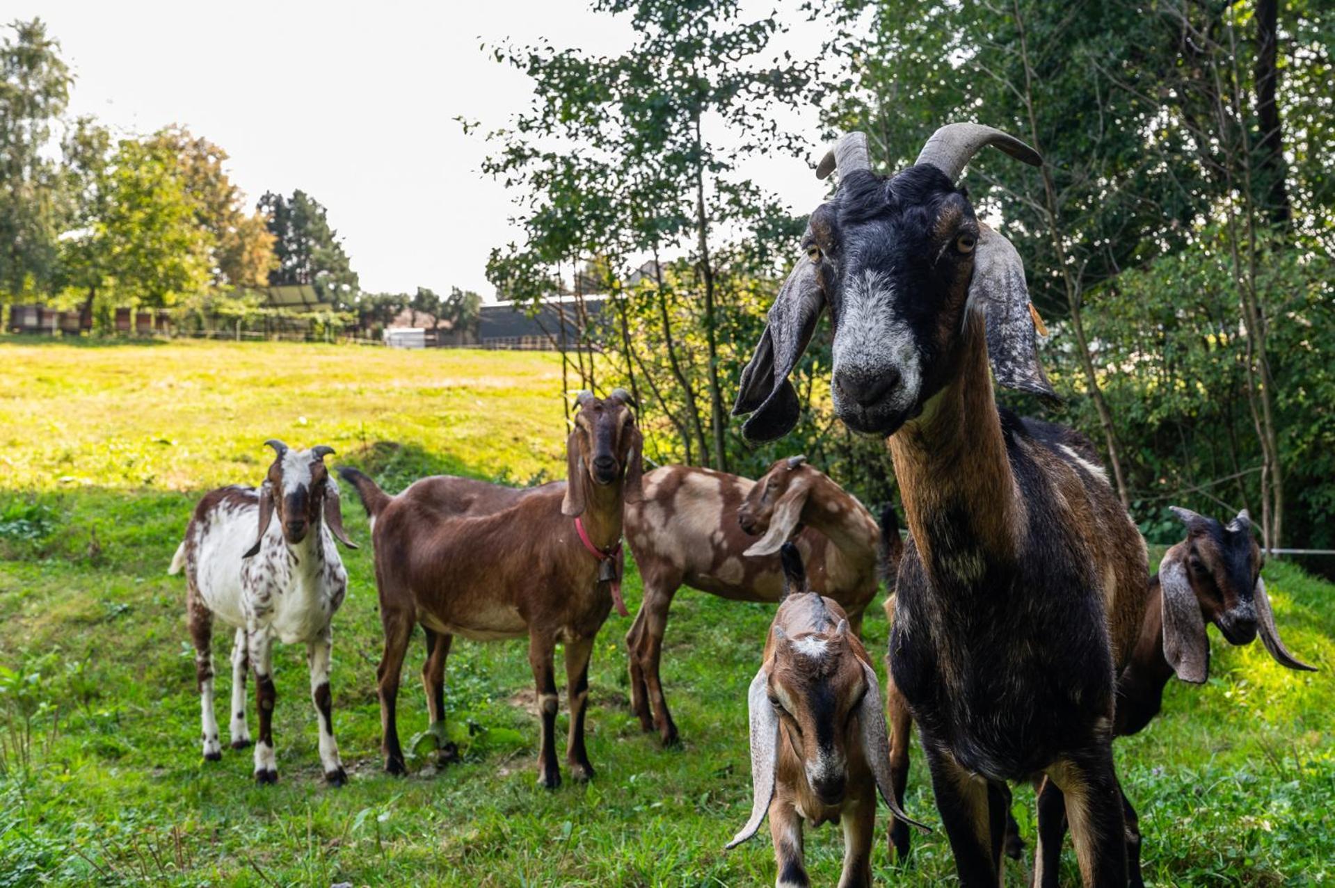 Orzechowa Ostoja Noclegi Energylandia Bachowice Exterior foto